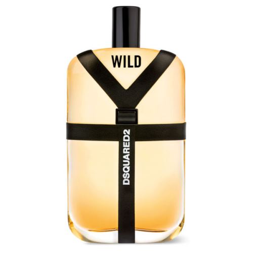 Dsquared2 Wild toaletní voda 100 ml pro muže TESTER