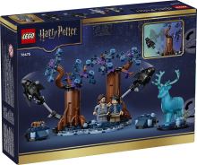 LEGO® Harry Potter™ 76475 Zapovězený les: Expecto Patronum (1)