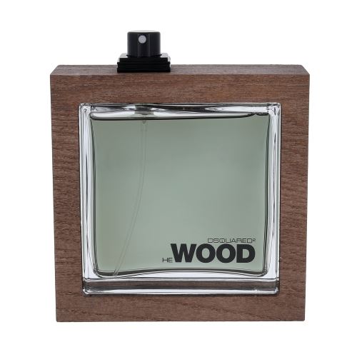 Dsquared2 He Wood Rocky Mountain Wood toaletní voda 100 ml pro muže TESTER