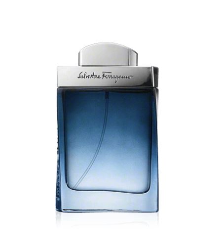 Salvatore Ferragamo Subtil Pour Homme toaletní voda 100 ml pro muže TESTER
