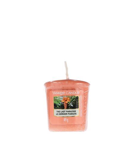 Yankee Candle The Last Paradise votivní svíčka 49 g