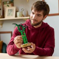 LEGO® Botanicals 10344 Bambus štěstí (1)