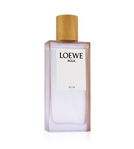Loewe Agua de Loewe El toaletní voda 100 ml pro muže TESTER