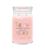 Yankee Candle Fresh Cut Roses signature svíčka velká 567 g
