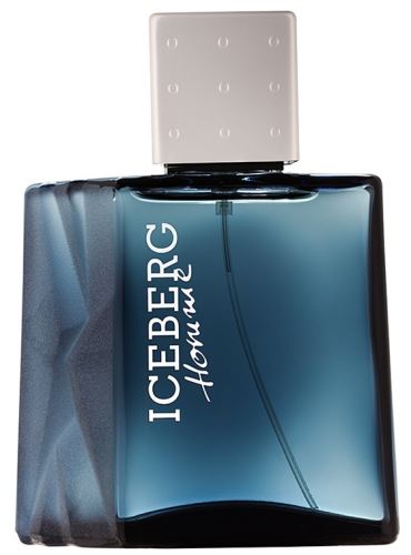 Iceberg Homme toaletní voda 100 ml pro muže TESTER