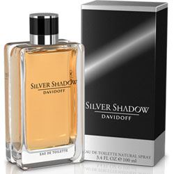 Davidoff Silver Shadow toaletní voda 100 ml pro muže