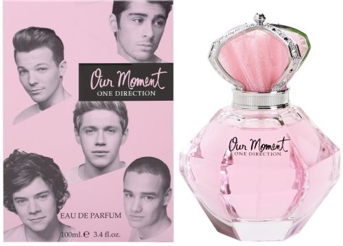 One Direction Our Moment
