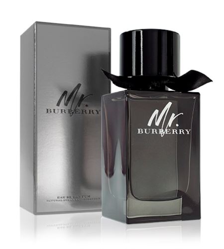 Burberry Mr. Burberry parfémovaná voda pro muže