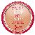 Bourjois Healthy Mix highlighting powder 11 g 04 Light Bronze