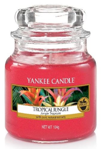 Yankee Candle Tropical Jungle vonná svíčka 104 g