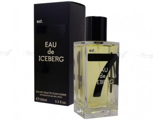 Iceberg Eau de Iceberg Pour Homme toaletní voda pro muže 100 ml