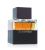 Lalique Encre Noire A L'Extreme eau de parfum for men 100 ml tester