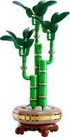 LEGO® Botanicals 10344 Bambus štěstí (2)