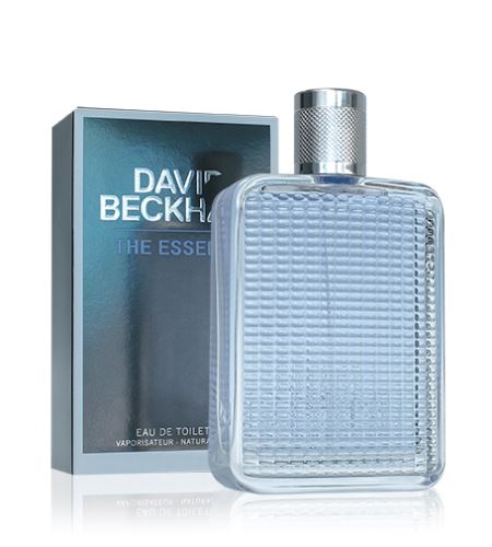David Beckham The Essence
