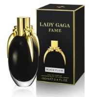 Lady Gaga Fame (1)