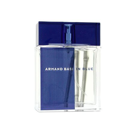 Armand Basi In Blue toaletní voda 100 ml pro muže TESTER
