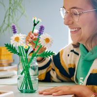 LEGO® Botanicals 11508 Kopretiny (1)