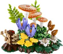 LEGO® Botanicals 11505 Lesní houby (1)