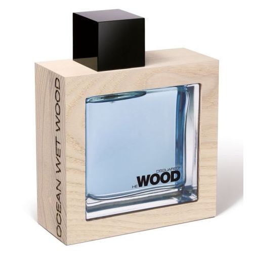 Dsquared2 He Wood Ocean Wet Wood eau de toilette for men 100 ml