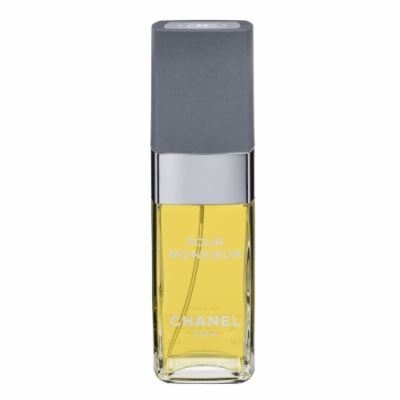 Chanel Pour Monsieur toaletní voda 100 ml pro muže TESTER