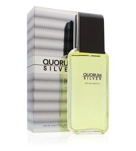 Antonio Puig Quorum Silver toaletní voda 100 ml pro muže