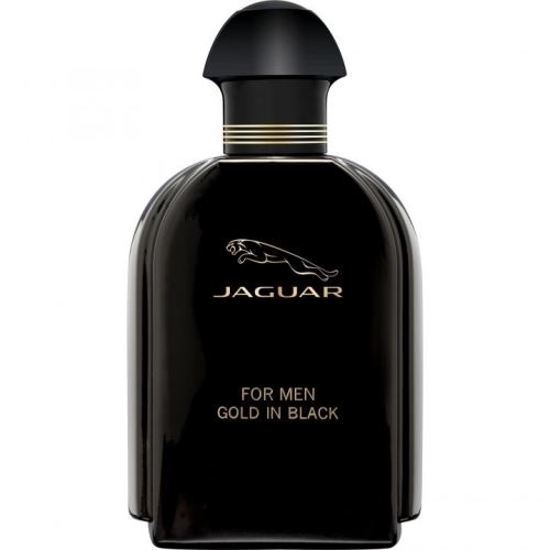 Jaguar For Men Gold In Black eau de toilette for men 100 ml tester