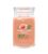 Yankee Candle Tropical Breeze signature svíčka velká 567 g