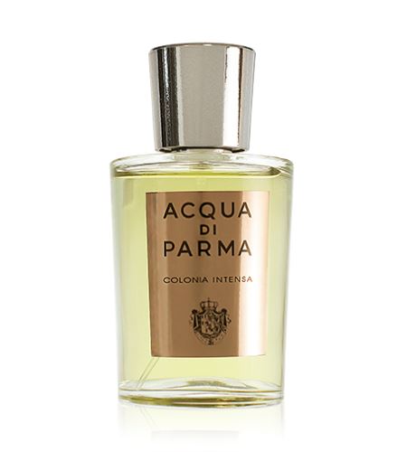 Acqua Di Parma Colonia Intensa kolínská voda pro muže 100 ml TESTER