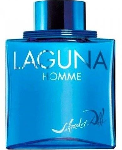 Salvador Dalí Laguna Homme toaletní voda 100 ml pro muže TESTER
