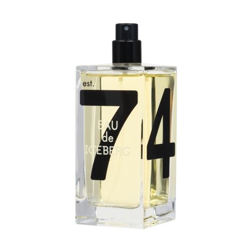 Iceberg Eau de Iceberg Pour Homme toaletní voda 100 ml pro muže TESTER