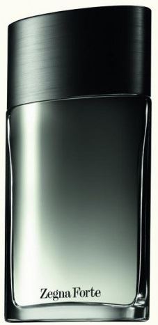 Ermenegildo Zegna Zegna Forte toaletní voda 100 ml pro muže TESTER