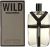 Dsquared2 Wild toaletní voda 100 ml pro muže