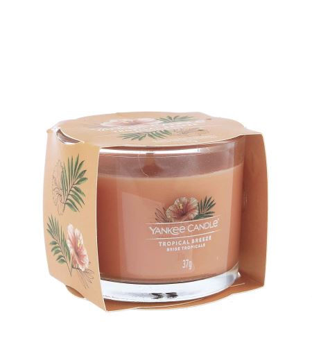 Yankee Candle Tropical Breeze votivní svíčka ve skle 37 g