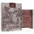 Afnan Oud Rising EDP U 80ml