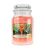 Yankee Candle The Last Paradise scented candle 623 g