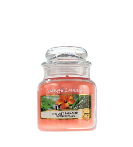 Yankee Candle The Last Paradise vonná svíčka 104 g