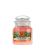 Yankee Candle The Last Paradise vonná svíčka 104 g