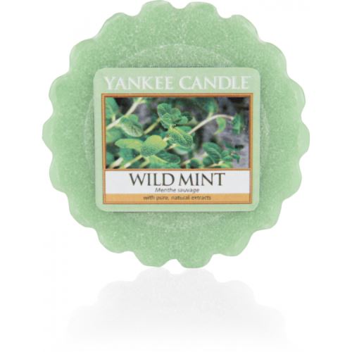 Yankee Candle Wild Mint vonný vosk 22,7 g