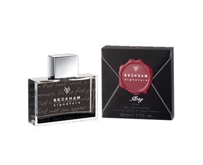 David Beckham Signature Story For Him toaletní voda 75 ml pro muže