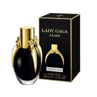 Lady Gaga Fame (2)