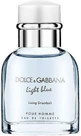 Dolce & Gabbana Light Blue Living Stromboli toaletní voda 125 ml pro muže TESTER