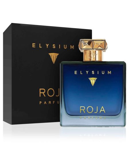 Roja Parfums Elysium Pour Homme parfémovaná voda pro muže 100 ml