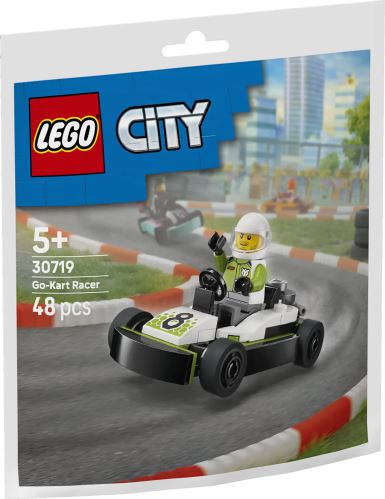 LEGO® 30719 Závodník v motokáře