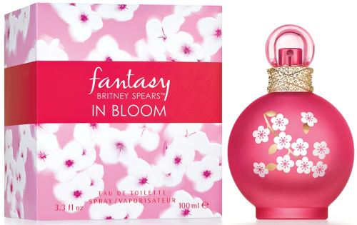 Britney Spears Fantasy in Bloom toaletní voda 100 ml pro ženy