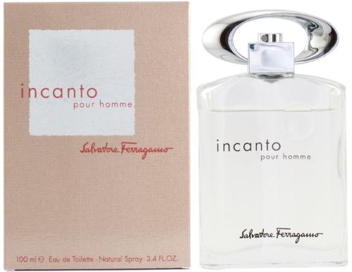 Salvatore Ferragamo Incanto Pour Homme toaletní voda 100 ml pro muže