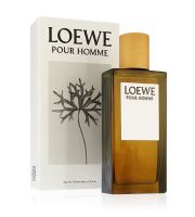 Loewe Pour Homme toaletní voda pro muže 100 ml