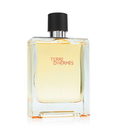 Hermes Terre d'Hermes toaletní voda 100 ml pro muže TESTER