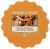 Yankee Candle Golden Chestnut vonný vosk 22,7 g