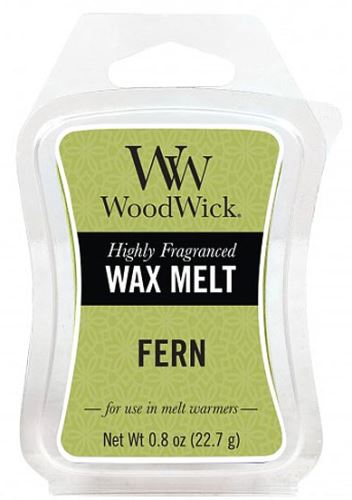 WoodWick Fern vonný vosk 22,7 g