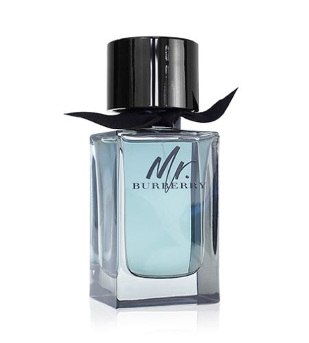Burberry Mr. Burberry toaletní voda 100 ml pro muže TESTER